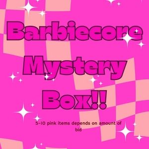 BARBIE DOLL INSPIRED BARBIECORE CLOTHING BUNDLE MYSTERY BOX 📦✨️🦄💖